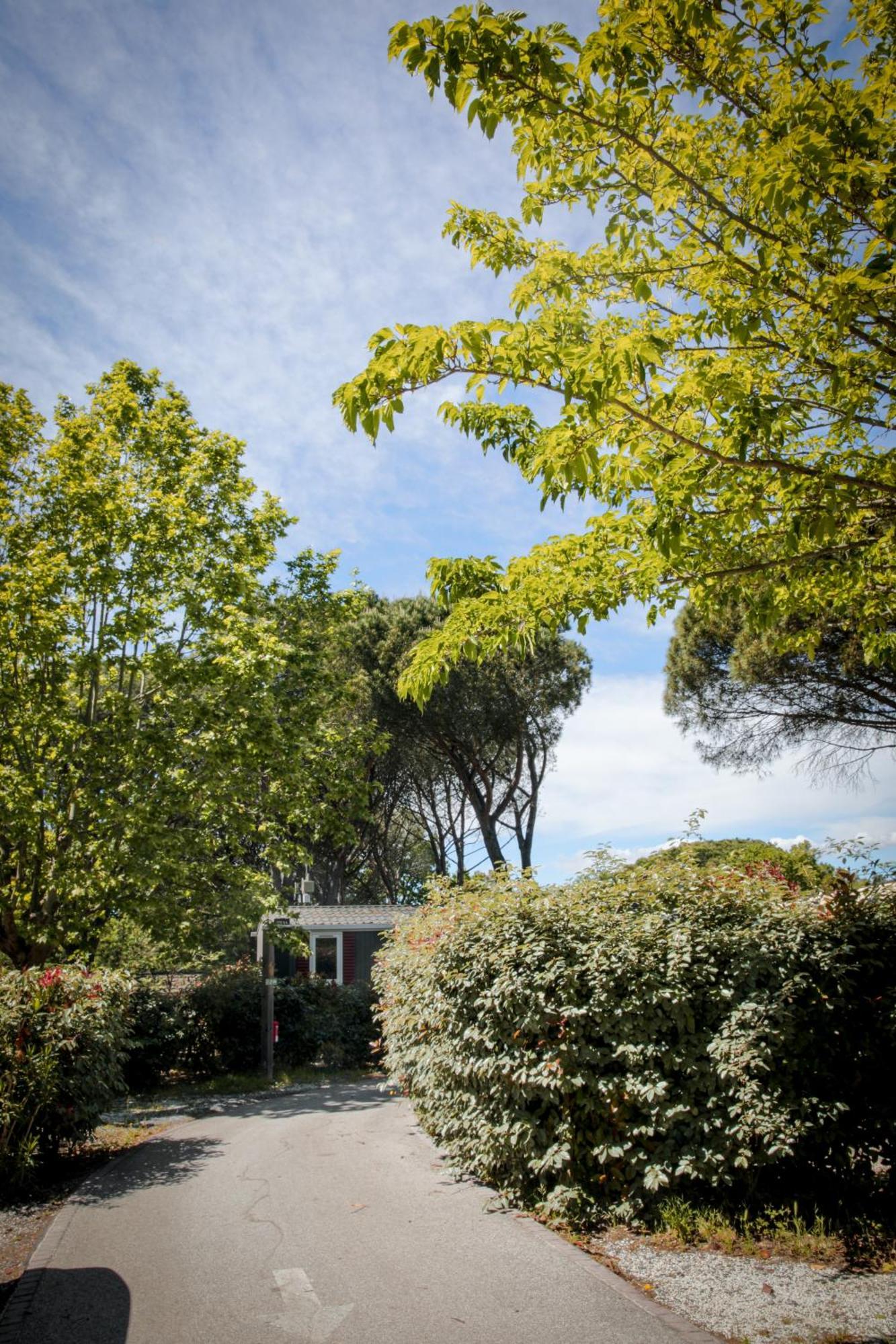 Domaine de Verdagne Hotel Gassin Buitenkant foto